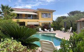 Villa Gecko